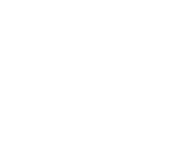 Nemolus Logo